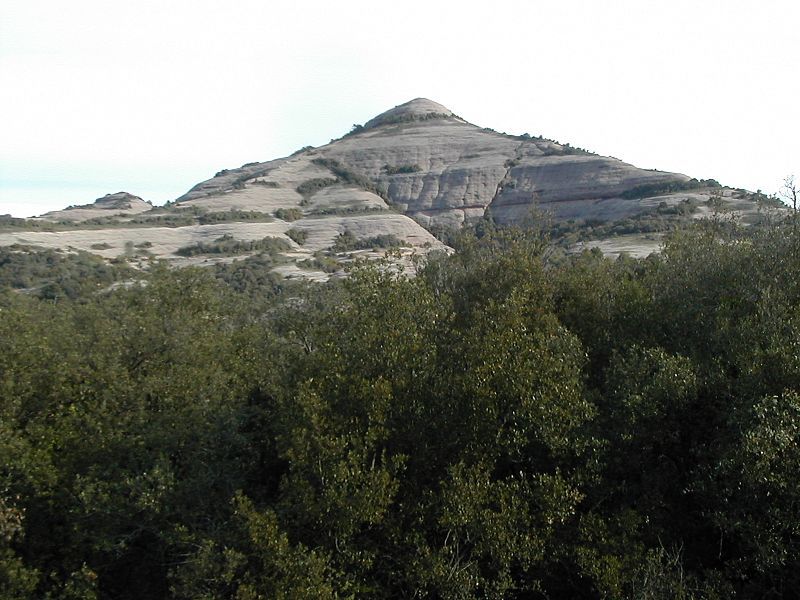 File:El Montcau.jpg