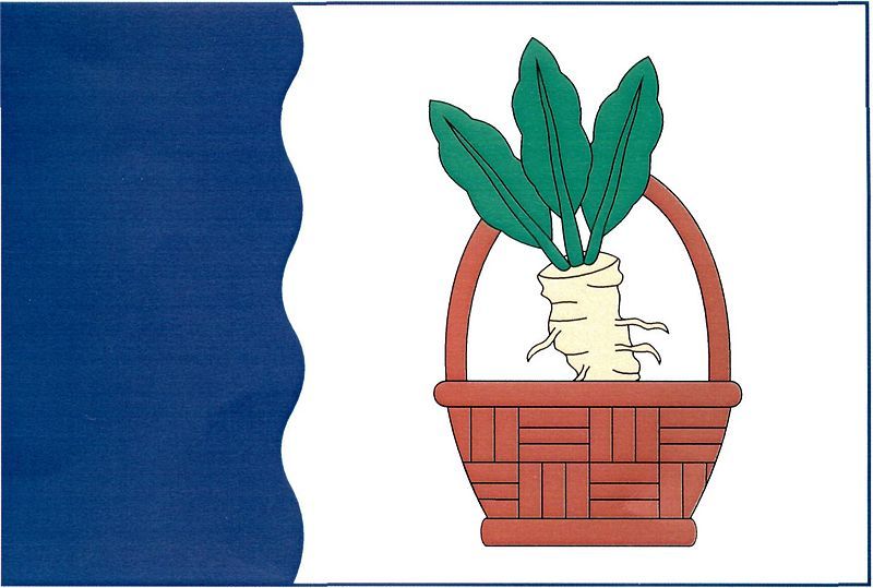 File:Flag of Křenek.jpeg