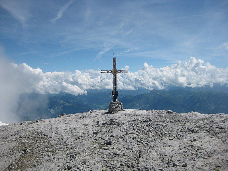 File:Großer Bratschenkopf.jpg