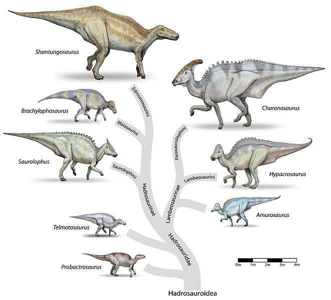 File:Hadrosaur-tree-v3.jpg