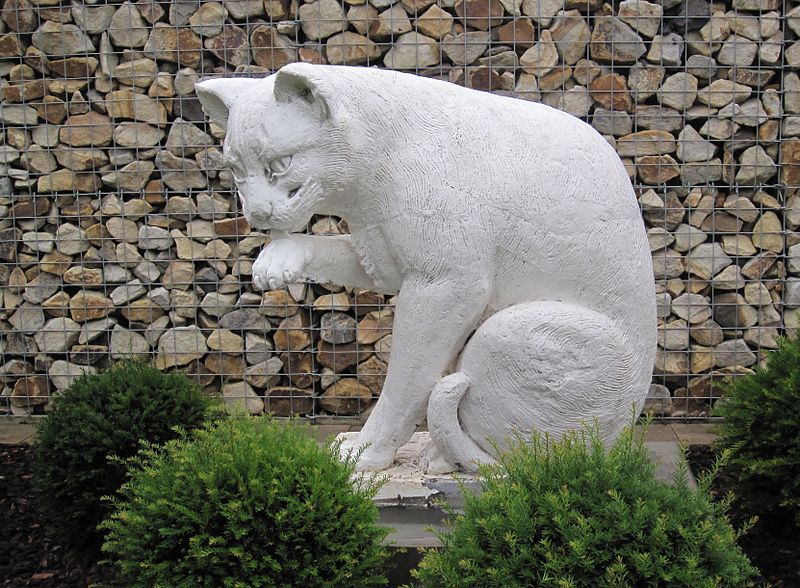 File:Hoffmanns Katze BS.jpg