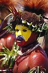 Huli Wigman from the Southern Highlands of Papua New Guinea.