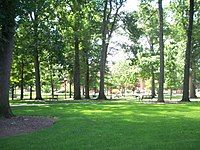 The Oak Grove looking towards Stapleton Library