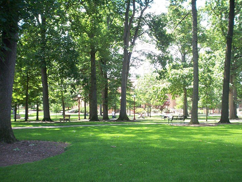 File:IUP-OakGrove.jpg