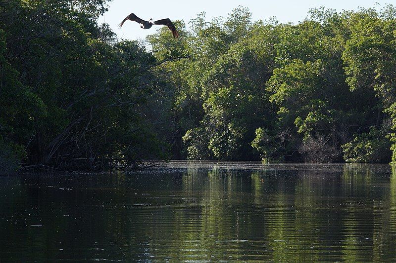 File:Laguna de Maniltepec.JPG