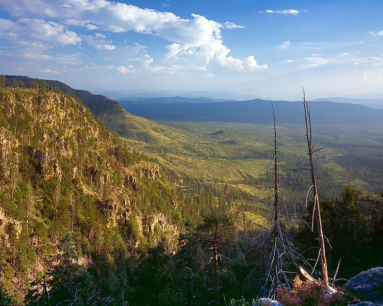 File:MOGOLLONRIM AZ17.jpg