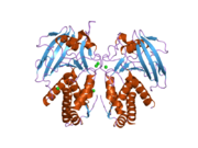 2gjt: Crystal structure of the human receptor phosphatase PTPRO