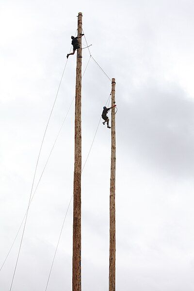 File:Pole Climbing.jpg