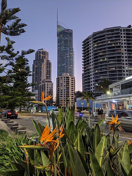 File:Q1 Gold Coast1.jpg