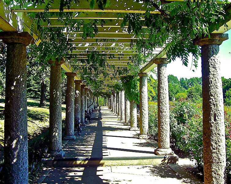 File:Wisteria covered pergola.jpg