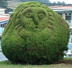 Topiary at Parque Francisco Alvarado in Zarcero