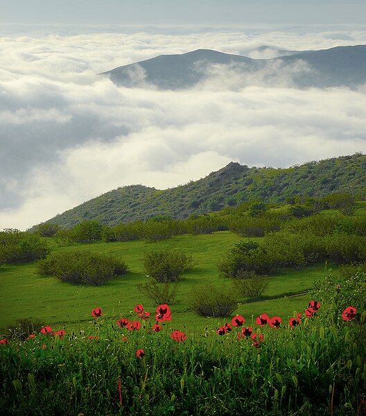 File:Şəmkir təbiəti (1).jpg