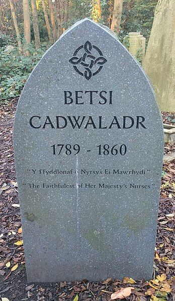 File:Betsi Cadwaladr, grave.jpg