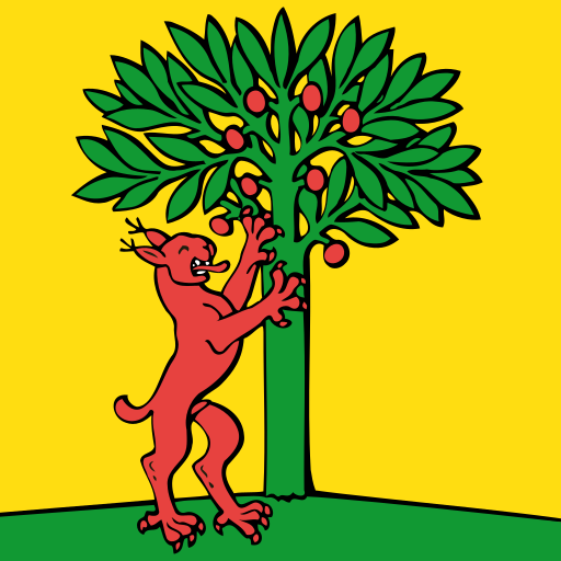 File:CHE Risch-Rotkreuz Flag.svg