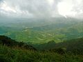 Southern Western Ghats, Near Thekkady in Kerala