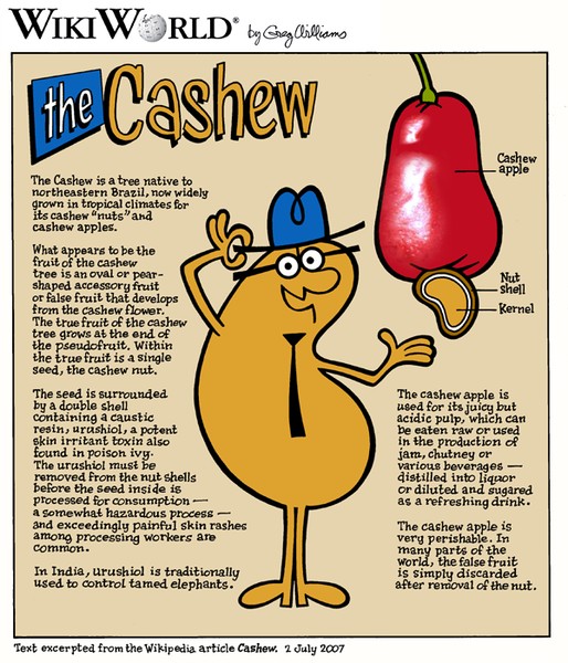 File:Cashew wikiworld.png