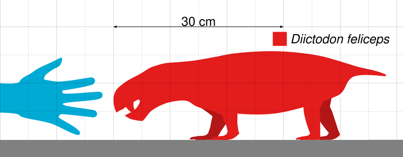 File:Diictodon Scale.svg