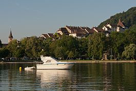 Erlach town and castle above Lake Bienne