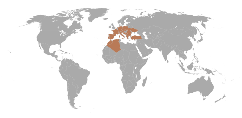 File:Hipparchia statilinus distribution.png