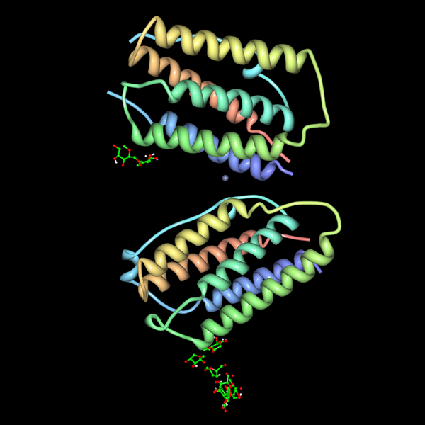 File:Human-interferon-beta-pdb-1AU1.png