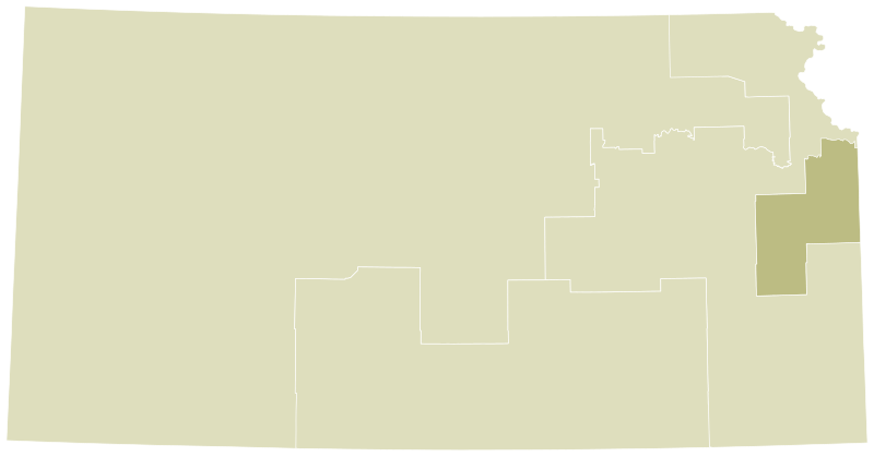 File:KS-02082022-ref-districts.svg