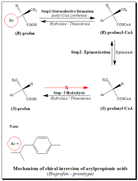 File:Metabolic chiral inversion.png