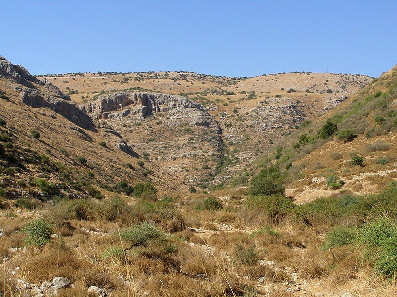 File:Nahal Dishon 09.jpg