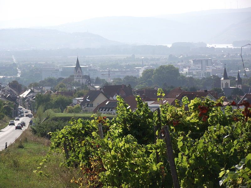 File:Nieder-Ingelheim-Sommer.JPG