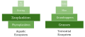 Image 22Biomass pyramids. Compared to terrestrial biomass pyramids, aquatic pyramids are generally inverted at the base. (from Marine food web)