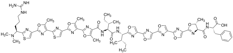 File:PZN-ACS.png