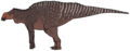 Rhinorex