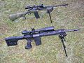 Front: DPMS SASS, 7.62mm. Rear: Ruger Mini-14, 5.56mm.