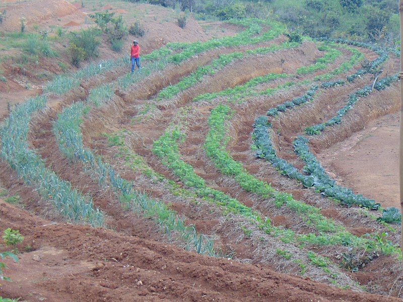 File:The Permaculture's Landscape-Bandrefam.jpg