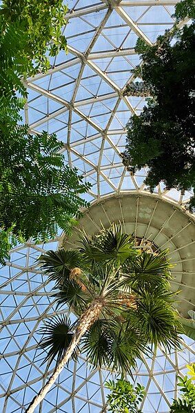 File:Tropicaldome.jpg