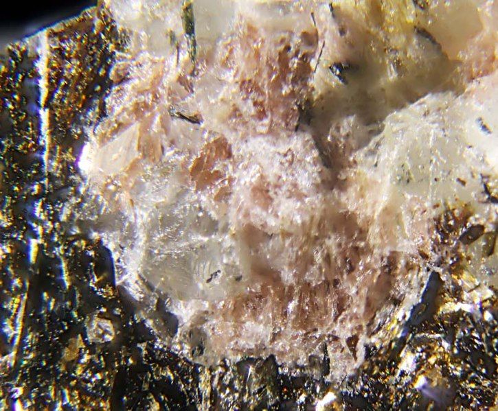 File:Umbite.jpg