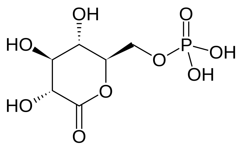 File:6-phosphogluconolactone.svg