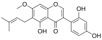 Chemical structure of 7-O-methylluteone