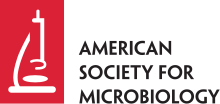 A stylized illustration of a microscope in white on a brick red background, beside the text: American Society for Microbiology