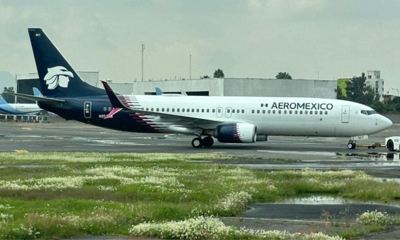 File:Aeromexico 737.png