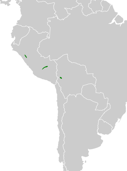 File:Anairetes alpinus map.svg