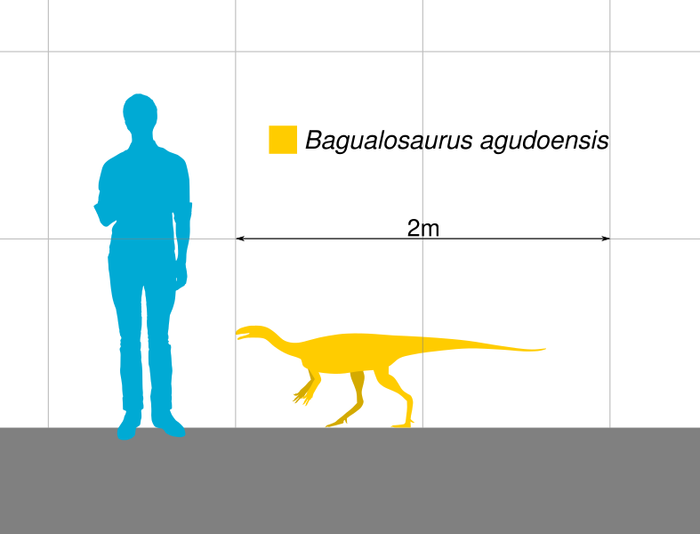 File:Bagualosaurus Scale.svg