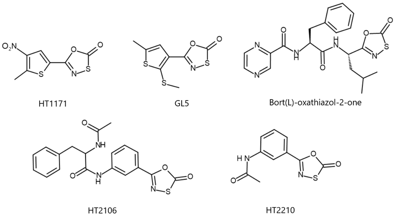 File:Biologically significant 1,3,40oxathiazol-2-one.png