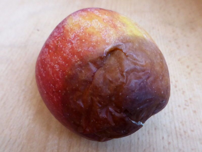 File:Braeburn-rotten.jpg