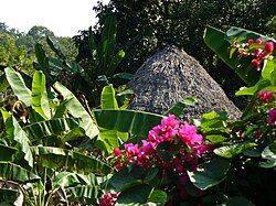 Traditional Huastec hut in the Coyol Ja community, municipality of Tancanhuitz