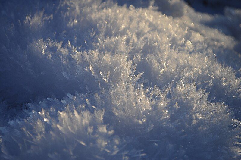 File:Hoar Frost.JPG