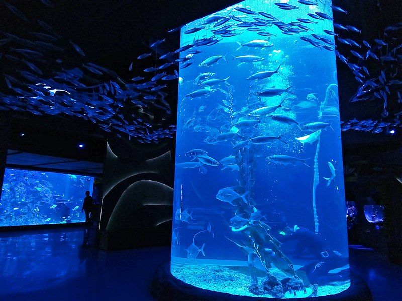 File:Jakarta aquarium.jpg