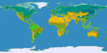 Map of the world. A tan band stretches from northern Africa through central China; most of Australia and parts of southern Africa and the western Americas are also tan. Dark greens dominte the northern hemisphere. Lighter greens cover much land near the equator. Polar areas are white, the north fringed with light blue.