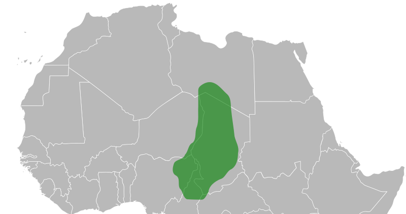 File:Kanem-Bornu-cropped.svg