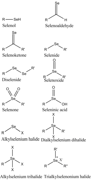 File:Organoselenium compounds.png