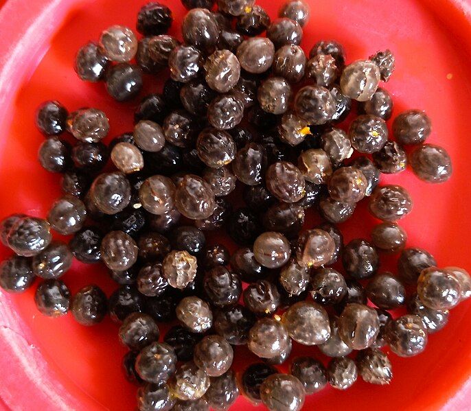 File:Papaya seeds.jpg